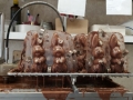 Osterhasenproduktion-7